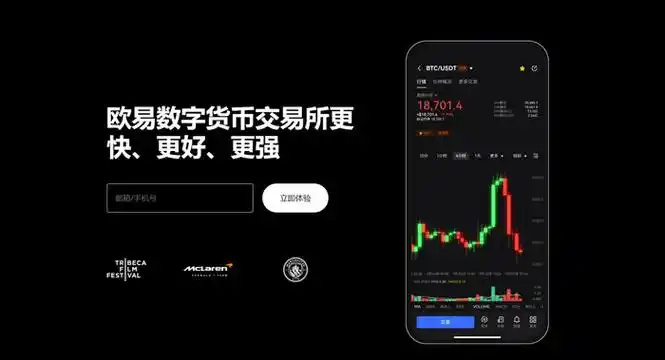 殴易下载交易平台平台展示图